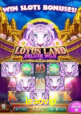 Experiência VIP leaovip