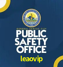 Provedores de Jogos leaovip